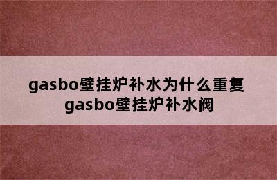 gasbo壁挂炉补水为什么重复 gasbo壁挂炉补水阀